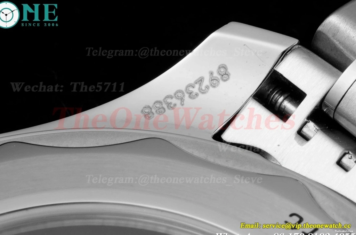 Seamaster Wht A8800 SS SS blue 300m 42mm JVSF 0112